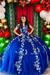 Royal Blue Off the Shoulder Tulle Princess Applique Quinceanera Dress with Train