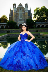 Sparkly Royal Blue Sweetheart Princess Sequins Applique Quinceanera Dress