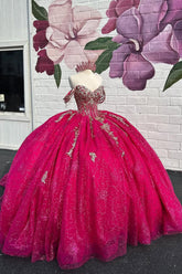 Fuchsia Off the Shoulder Princess Appliqued Quinceanera Dress with Train