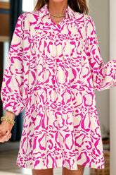 Lovely Johnny Collar Long Sleeve Mini Dress