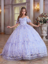Cold Shoulder Flower Embroidery Ball Gown Lace Quinceanera Dress