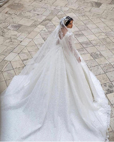 Long Sleeves Ball Gown Wedding Dress Appliques V-Neck Bridal Gown