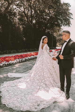 Long Sleeves V-Neck Ball Gown Wedding Dress With Appliques