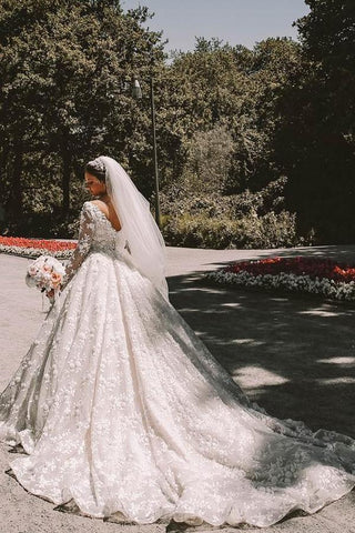 Long Sleeves V-Neck Ball Gown Wedding Dress With Appliques