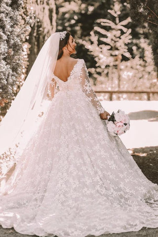 Long Sleeves V-Neck Ball Gown Wedding Dress With Appliques