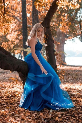 Tulle A-line One Shoulder Lace Appliques Long Prom Dresses