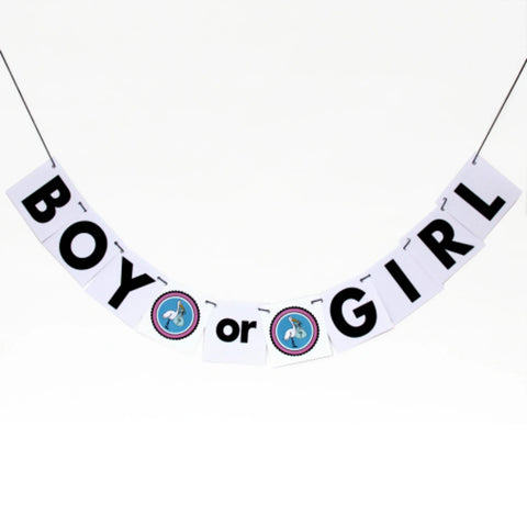 Gender Reveal Party Banner