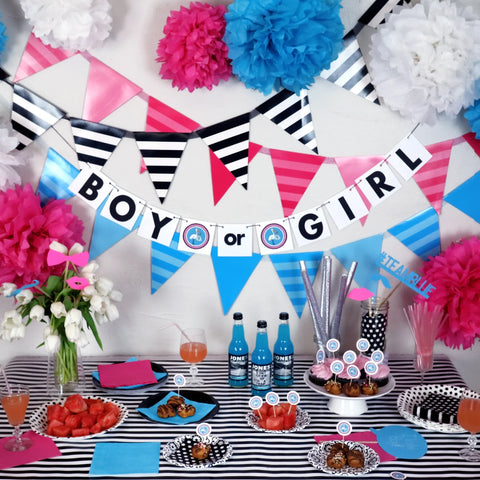 Gender Reveal Party Banner