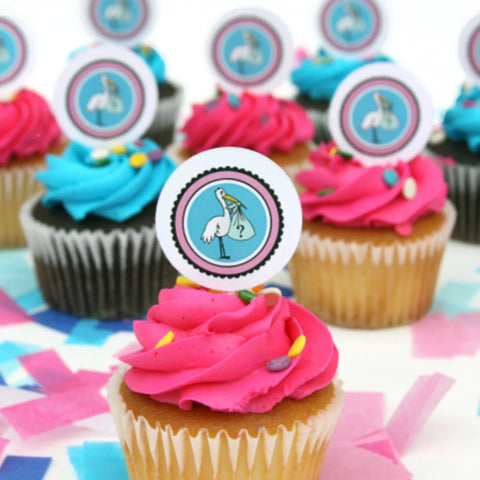 Gender Reveal Party Decorating Kit