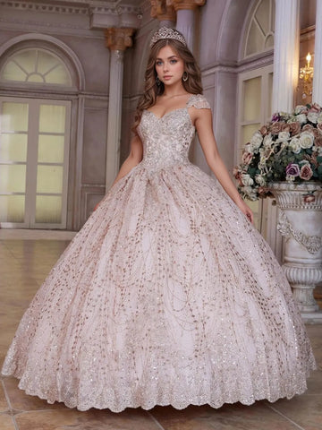 Sparkly Embroidery Lace Hand Beading Ball Gown Quinceanera Dress