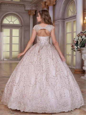 Sparkly Embroidery Lace Hand Beading Ball Gown Quinceanera Dress