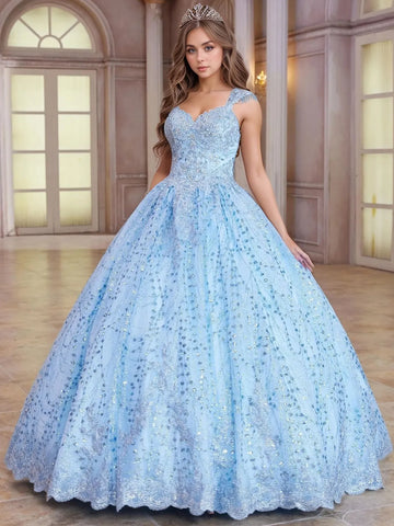 Sparkly Embroidery Lace Hand Beading Ball Gown Quinceanera Dress