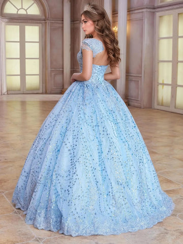 Sparkly Embroidery Lace Hand Beading Ball Gown Quinceanera Dress