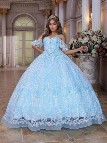 Cold Shoulder Flower Embroidery Ball Gown Lace Quinceanera Dress