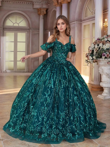 Cold Shoulder Flower Embroidery Ball Gown Lace Quinceanera Dress
