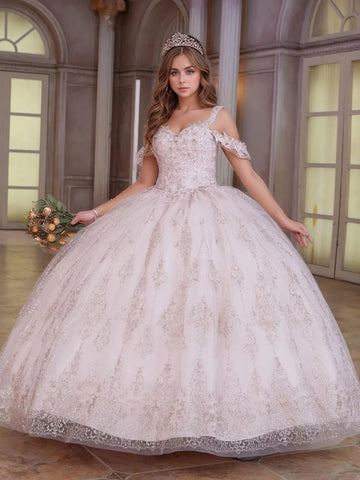 Floral Embroidery Shawls Cold Shoulder Luxury Ball Gown Lace Quinceanera Dress