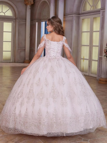 Floral Embroidery Shawls Cold Shoulder Luxury Ball Gown Lace Quinceanera Dress