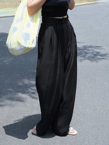 High-Waisted Pleated See-Through Loose Sun-Protection Trousers Casual Pants Bottoms