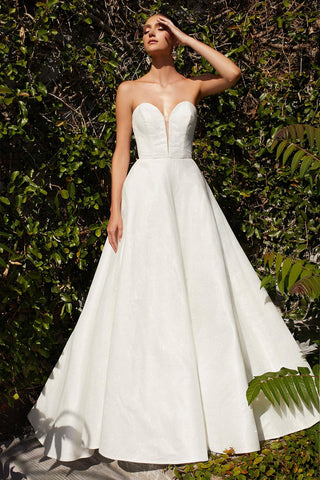 Long Bridal Gown Wedding Dress