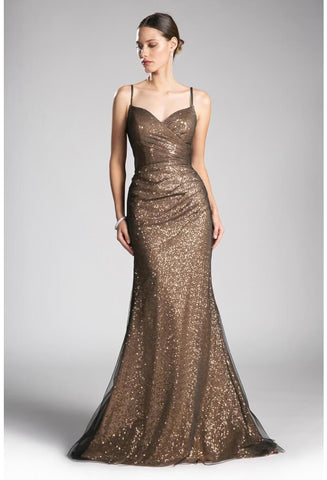 Long Plus Size Sequins Evening Prom Dress