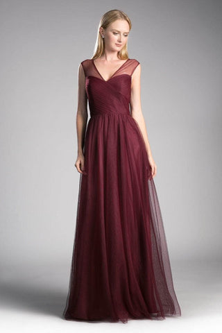 Sleeveless Pleated Top Tulle A Line Gown