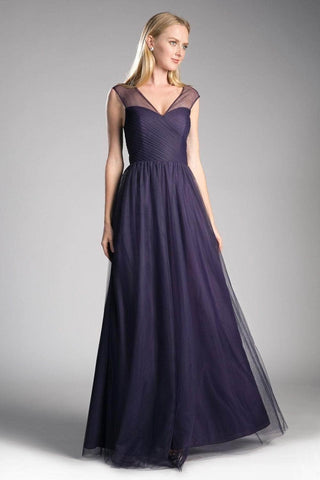 Sleeveless Pleated Top Tulle A Line Gown