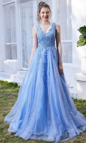 Sleeveless V-Neck A-line Long Dress