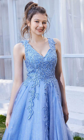 Sleeveless V-Neck A-line Long Dress