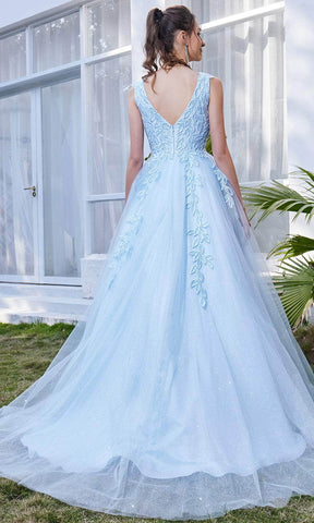 Sleeveless V-Neck A-line Long Dress