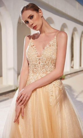 Lace Applique Bodice Glitter Tulle A-Line Gown