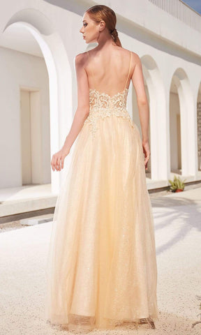 Lace Applique Bodice Glitter Tulle A-Line Gown