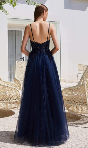 Lace Applique Bodice Glitter Tulle A-Line Gown