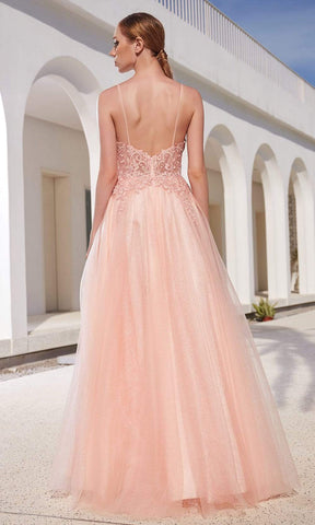 Lace Applique Bodice Glitter Tulle A-Line Gown