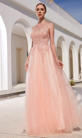 Lace Applique Bodice Glitter Tulle A-Line Gown
