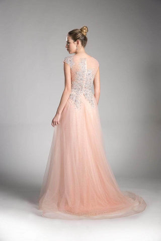 Sheer Scoop Beaded Tulle Evening Gown