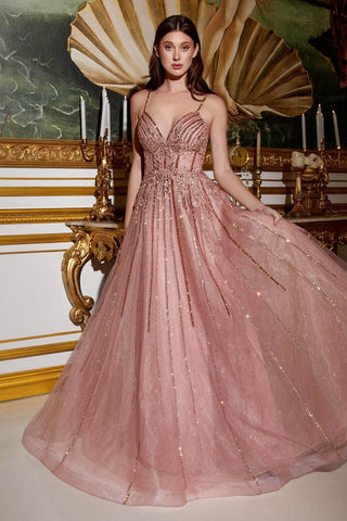 Applique A-Line Long Prom Dress