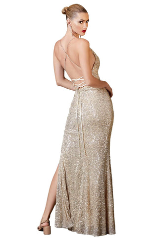 Sequin Cowl Neckline Sheath Dress