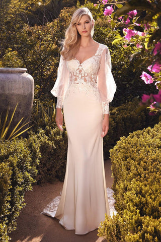 Long Sleeve Long Sheer Tulle Wedding Gown