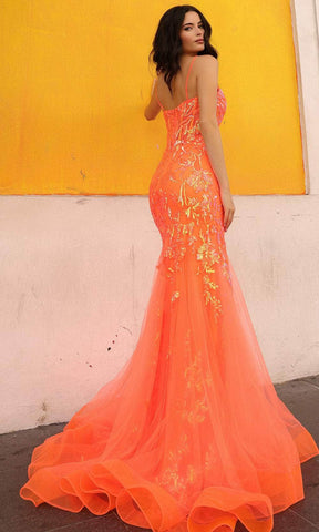 Sheer Corset Prom Dress
