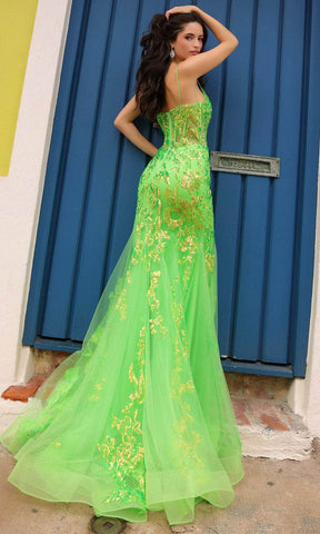 Sheer Corset Prom Dress